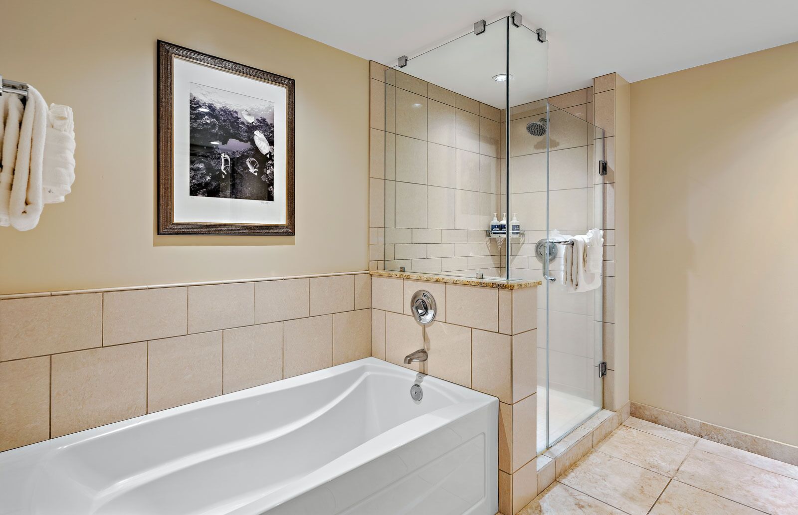 Bathtub, hair dryer, towels