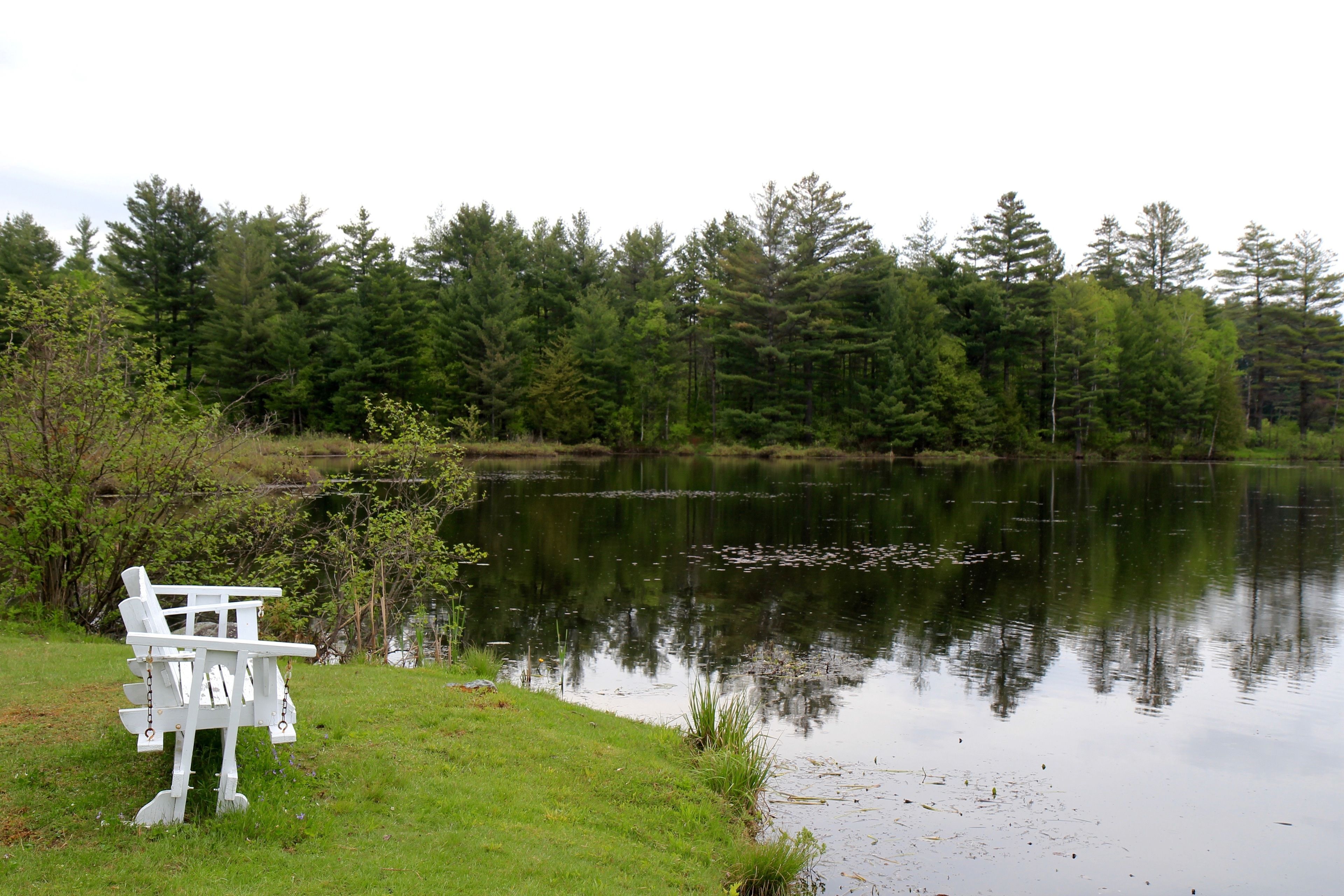 A serene lakeside setting with a white Adirondack chair by the water's edge.