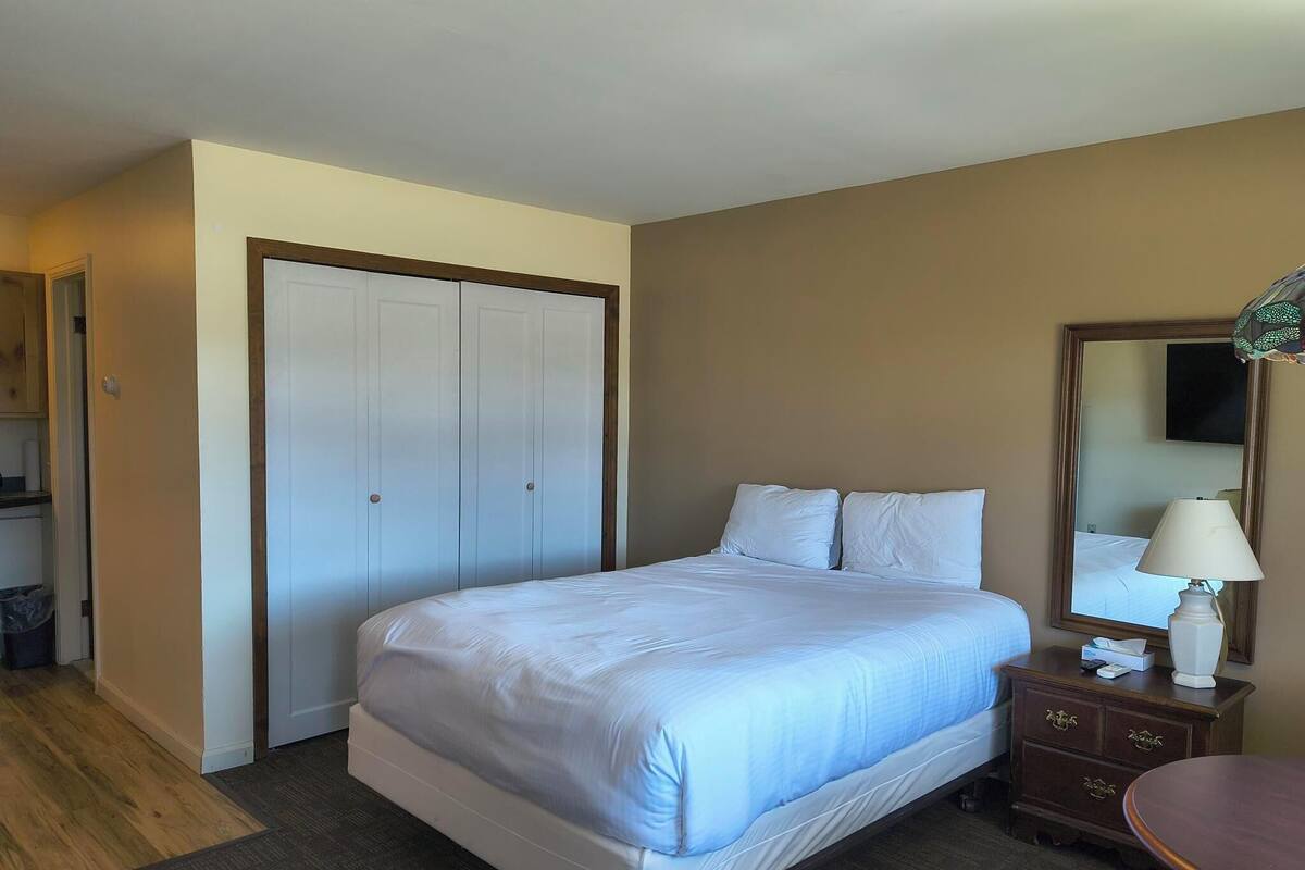 A hotel room with a bed, a dresser, a mirror, and a door.