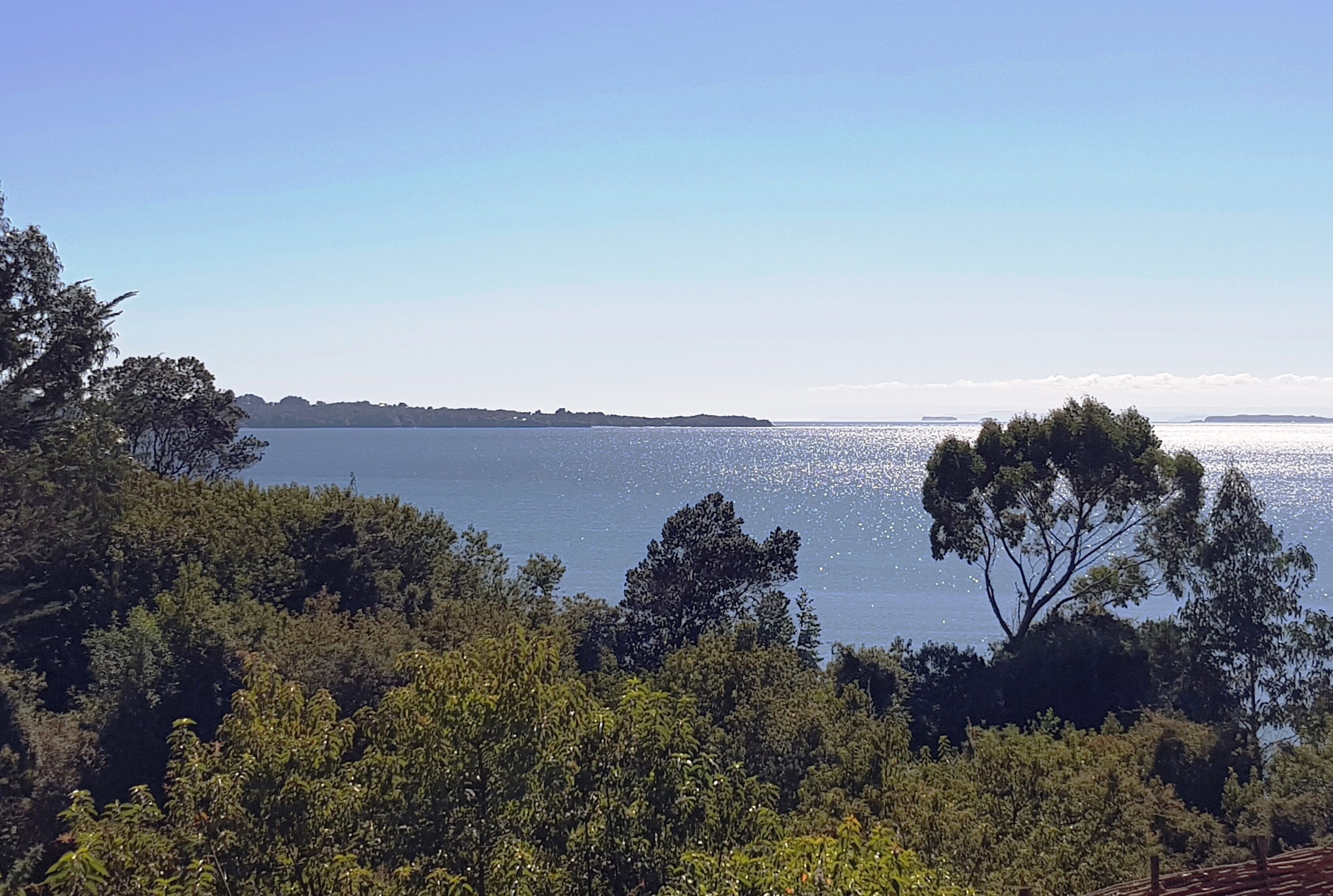 A coastal landscape with dense greenery and a clear view of the sea.