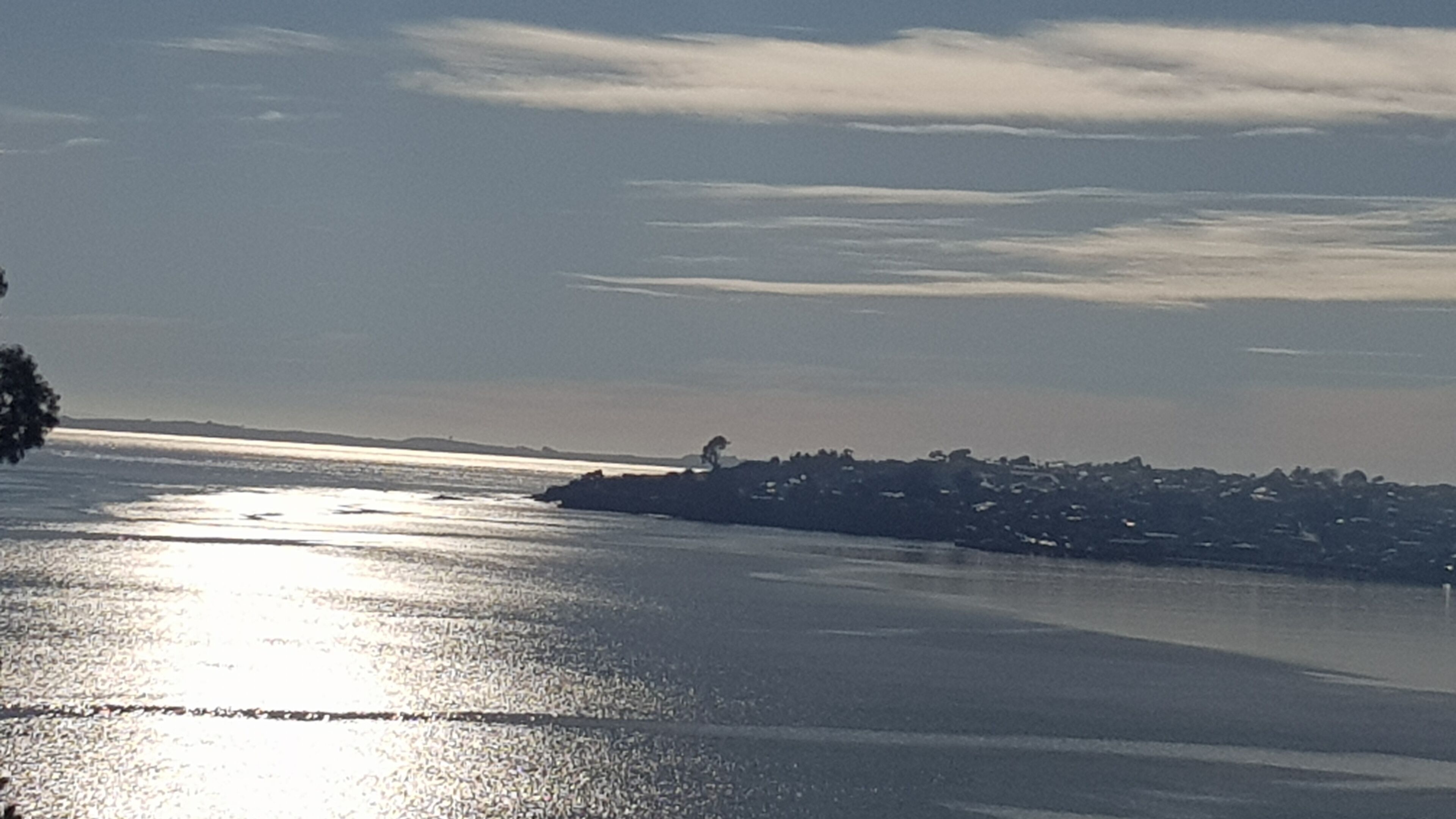 Paisatge costaner amb una massa d'aigua que reflecteix la llum del sol, una riba llunyana amb edificis i un arbre a l'esquerra.