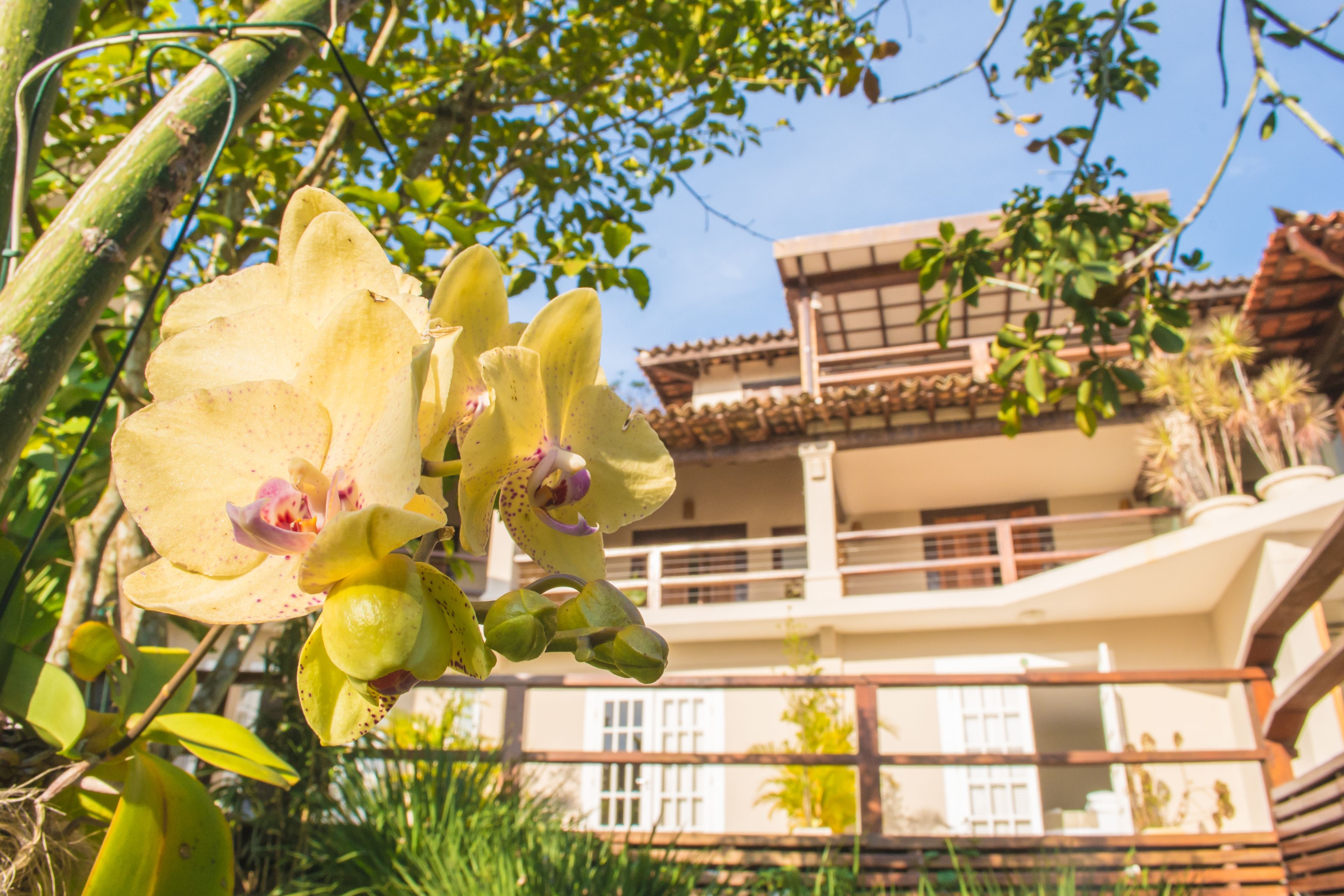 Detalle del exterior