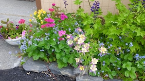 Un jardin agrémenté de diverses plantes à fleurs et doté d’un chemin en pierre.