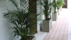 A corridor with potted plants, a tiled floor, and doors along the wall. - Hotel Bambu Inn (Salento)