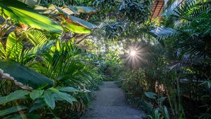 Un sentier bordé d’une végétation tropicale luxuriante, qui mène à une construction surmontée d’un toit en tuiles.