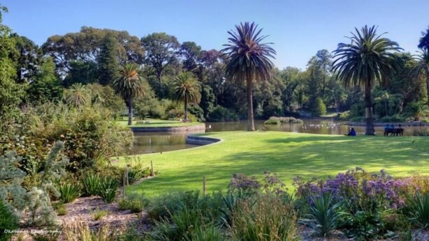 A well-maintained golf course with a pond, surrounded by diverse vegetation and trees. - Nice city stay at Collins apartment (Melbourne)