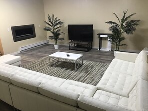 Télévision, cheminée, jeux vidéo, lecteur de DVD