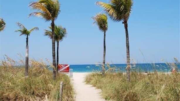 A beach path with palm trees and a sign.