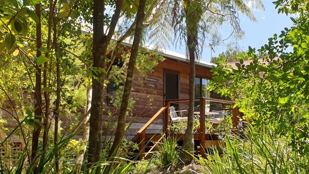 A wooden cabin with a deck, surrounded by dense greenery.