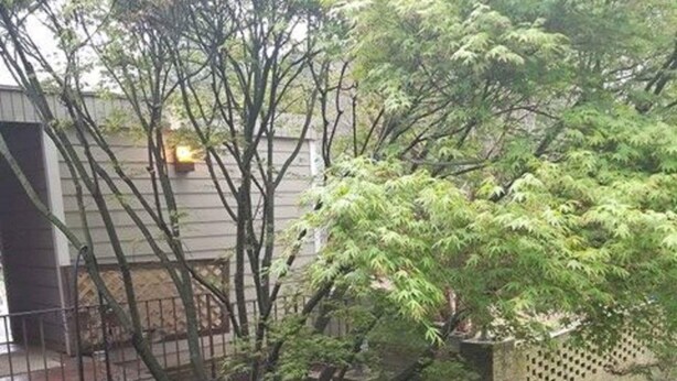 星評価なしの画像、1 / 14、ボタン