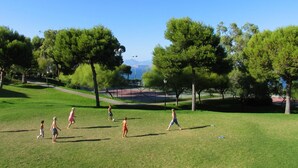 A grassy park with trees and a clear sky.