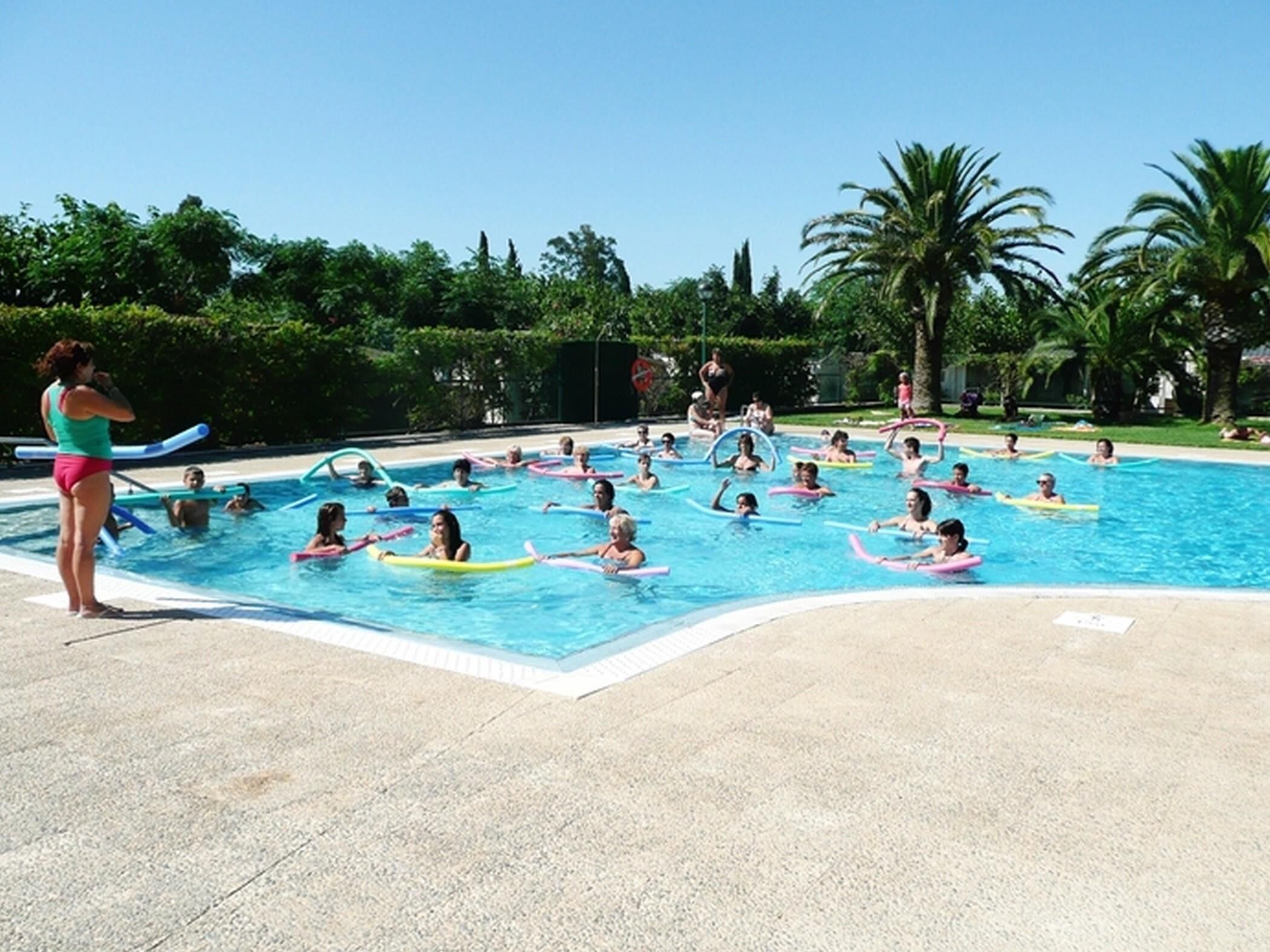 Ein Swimmingpool mit Menschen, die Schwimmhilfen benutzen, umgeben von Palmen und Grünpflanzen.
