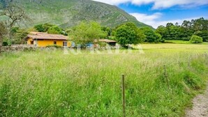 Property grounds - Mirando al Cuera (Yellow) - apartment with pool in Piedra (Llanes) (Quintana (Posada Llanes))