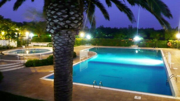 Piscina com um pilar de pedra em primeiro plano, rodeada por área ajardinada com palmeiras e um caminho pavimentado.