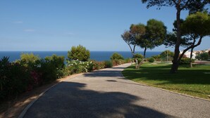 A paved pathway leading to a coastal area with a clear view of the sea.