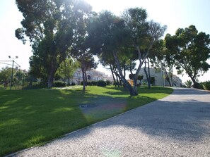 Classic single-family home with a spacious front yard and mature trees.