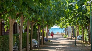 A tree-lined pathway leading to a beach.