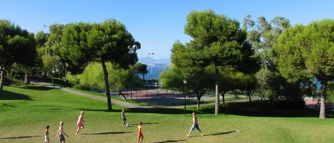 A grassy park with trees and a clear sky.