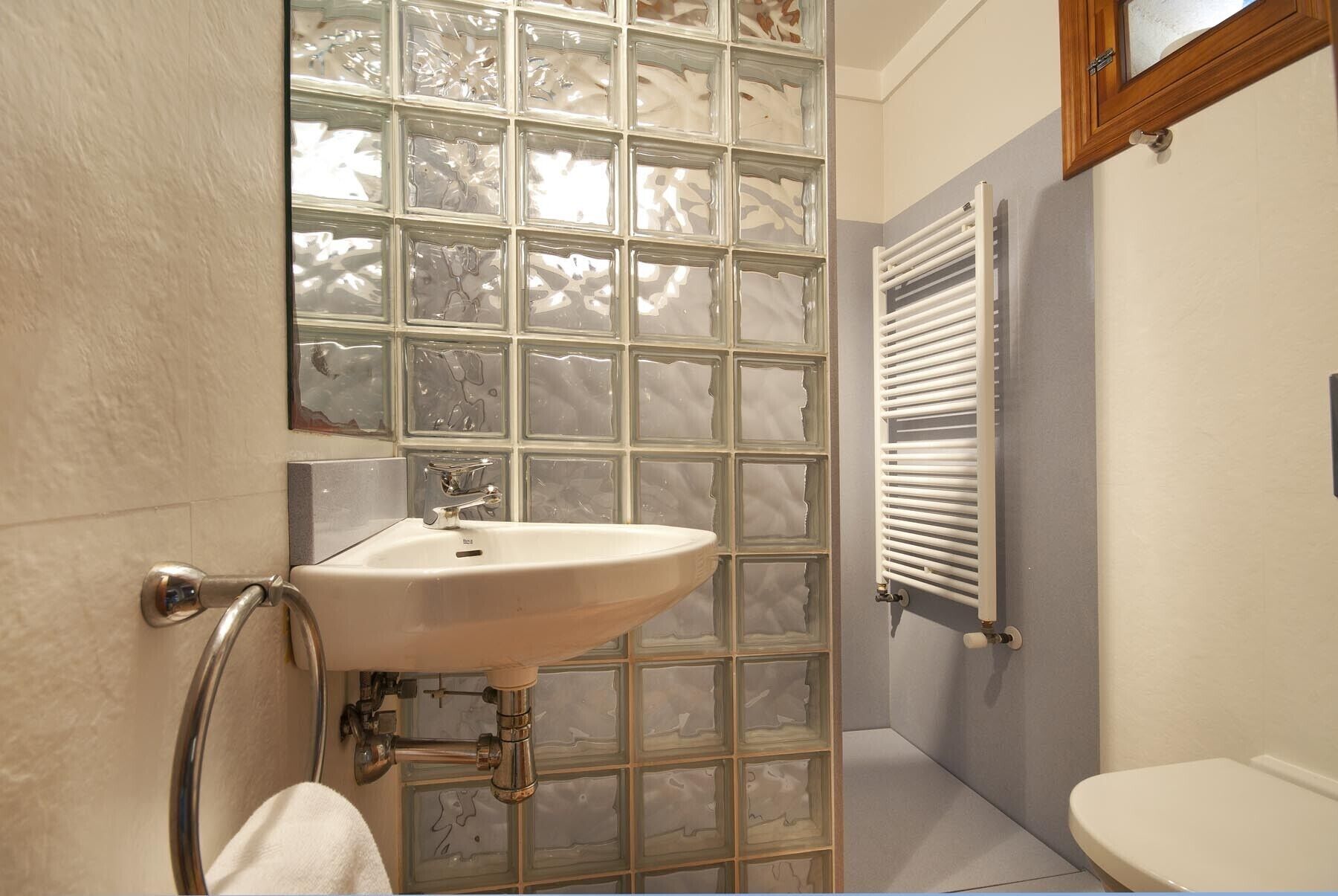 A bathroom with a glass block partition, a white sink, and a toilet.