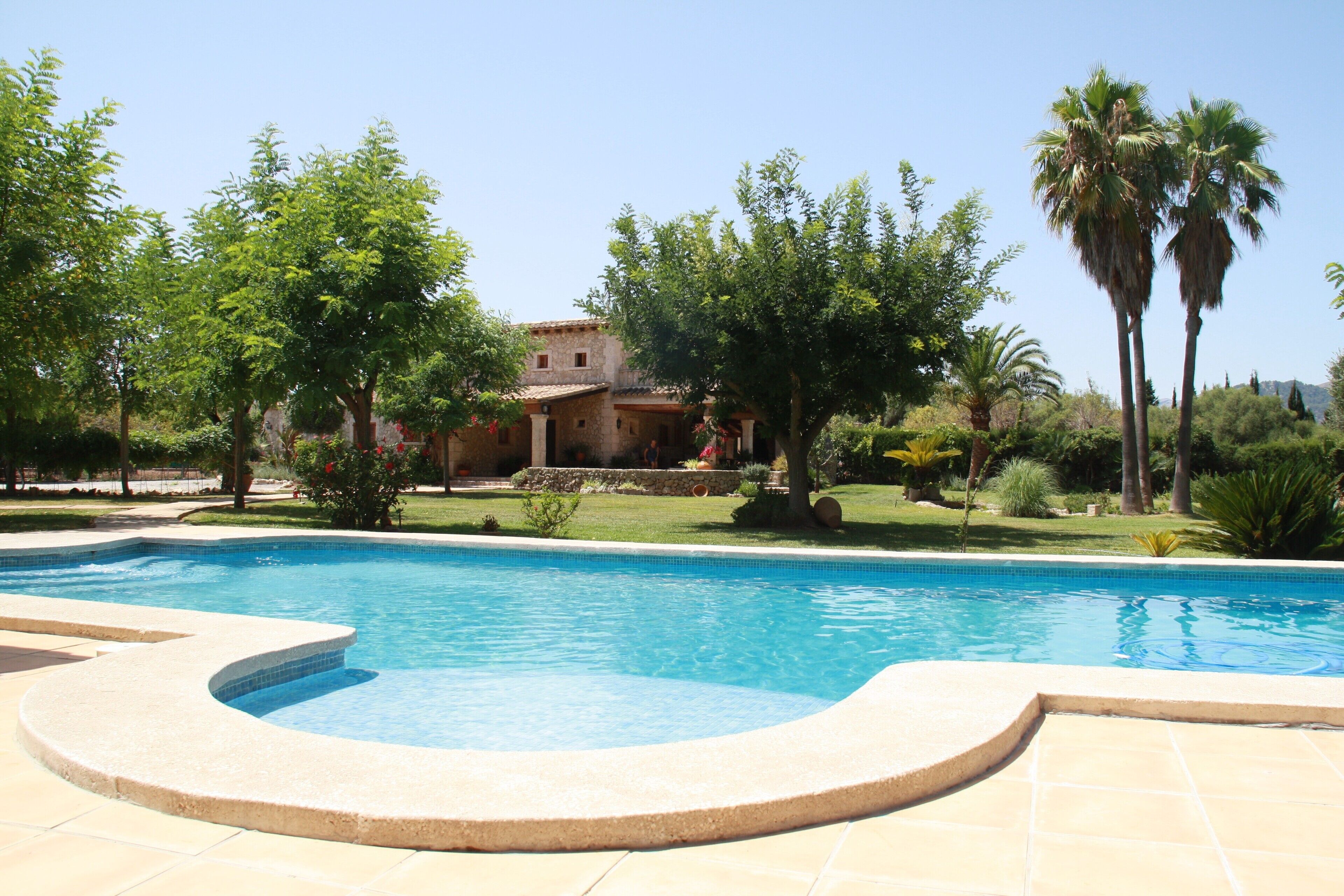 Ein Pool mit geschwungener Kante, umgeben von einem Garten mit Palmen und anderer Vegetation.