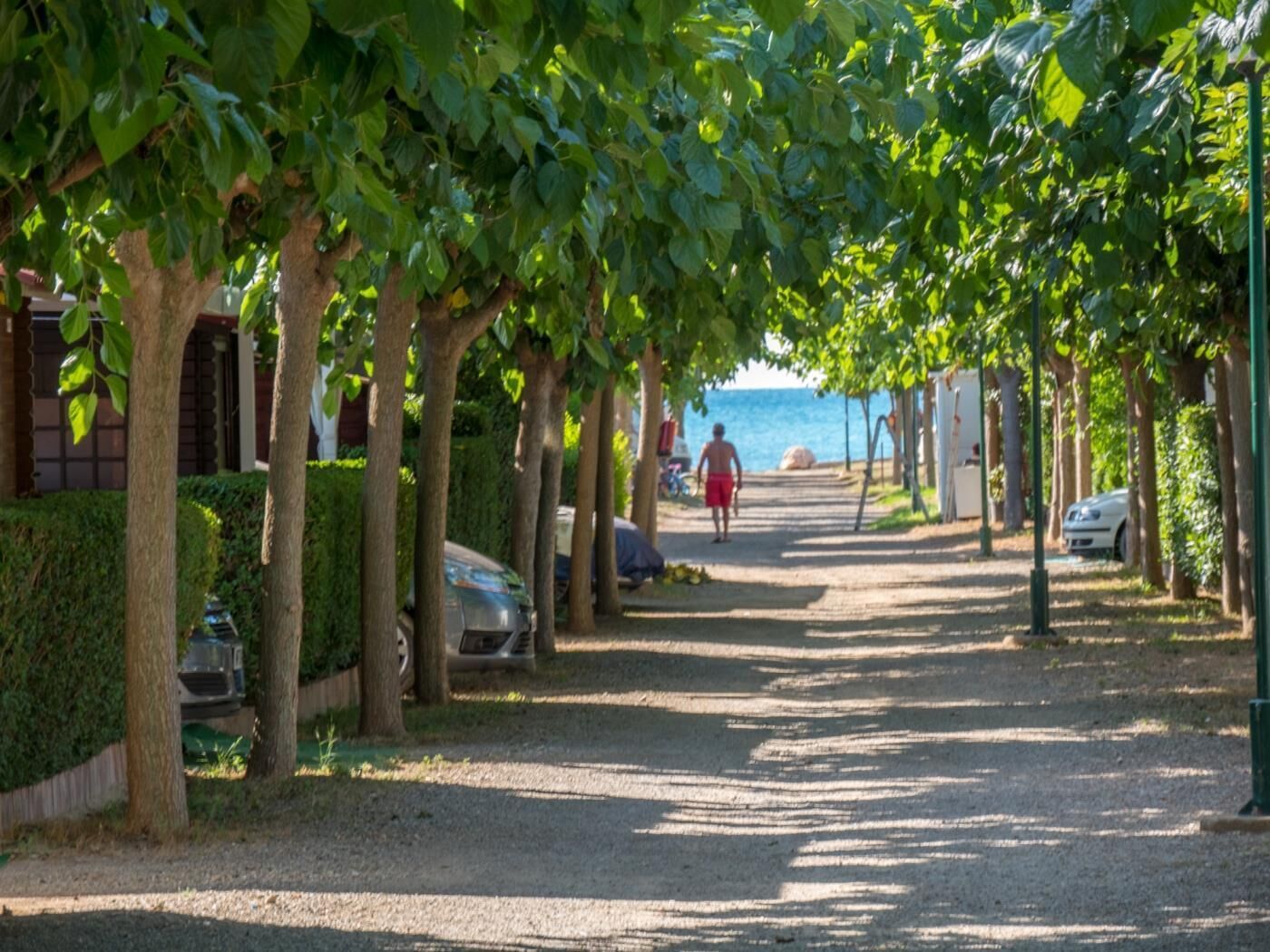 Ulkoalueet