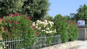 Un jardín con cerca metálica, plantas en flor y un letrero que dice 'La Pitcholine'.