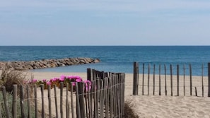 Playa en los alrededores y camastros 