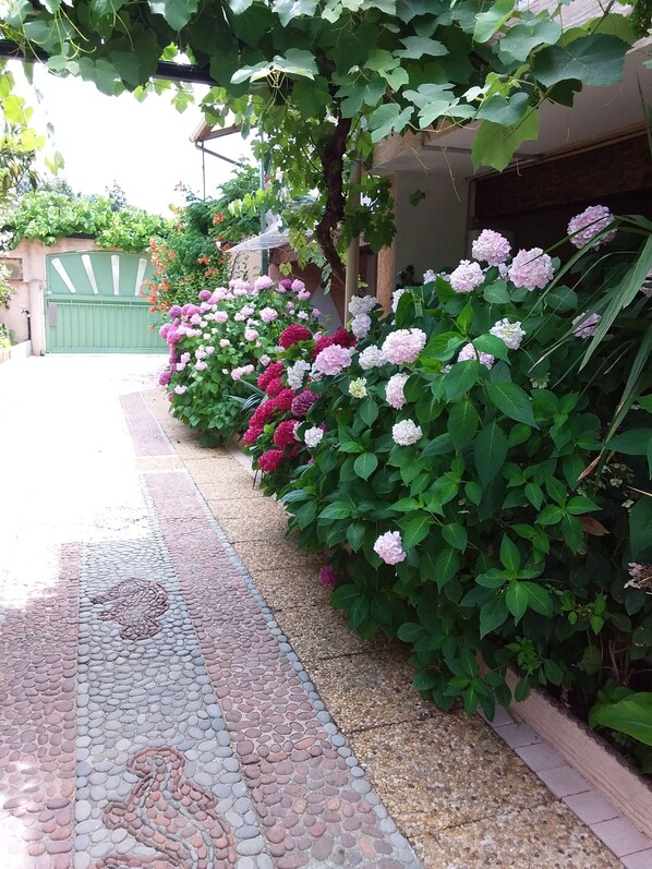 Um caminho no jardim com desenho em mosaico, cercado por vegetação exuberante e plantas floridas.