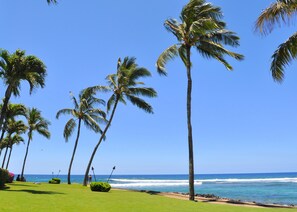 On the beach - OCEANFRONT Ground Floor 2bd/2ba Unit with Amazing Ocean Views & A/C (Koloa)