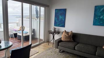 Smart TV, chimenea y libros