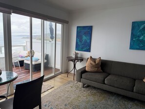 TV connectée, cheminée, livres