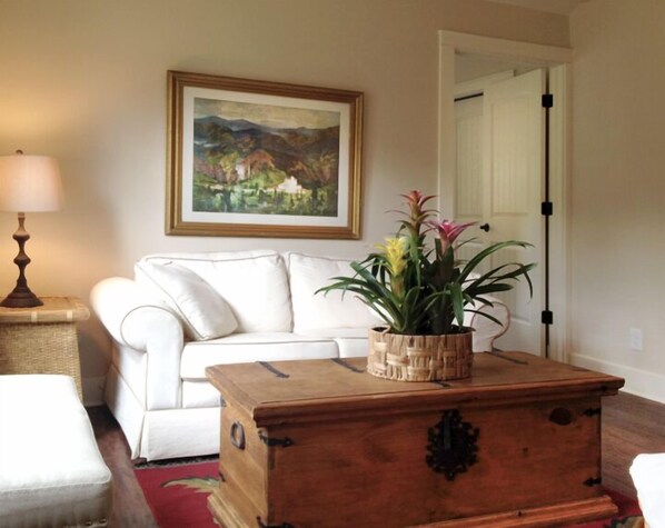 Flat-screen TV, DVD player, books, music library