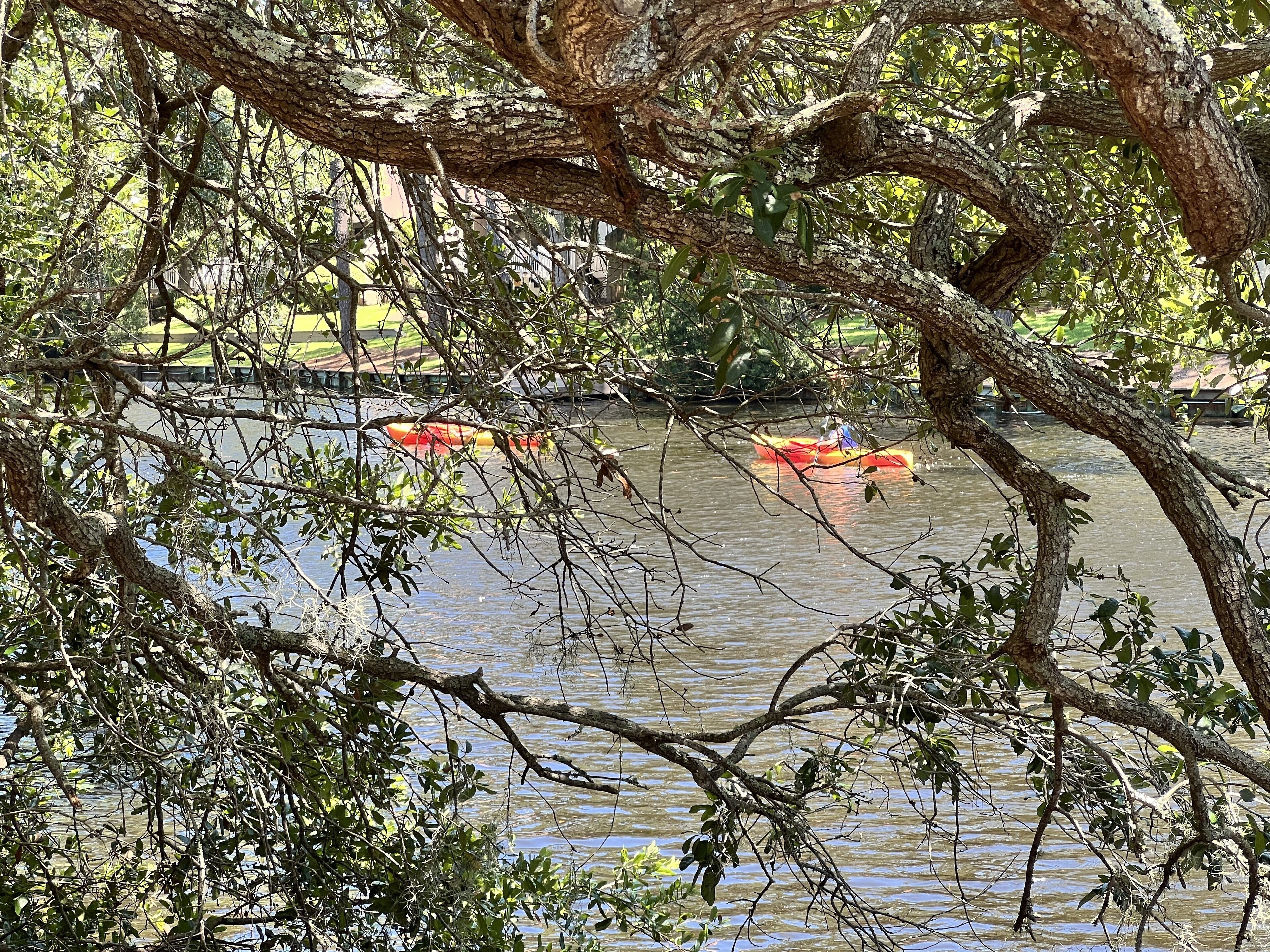 A river with kayaks, surrounded by dense foliage and trees.
