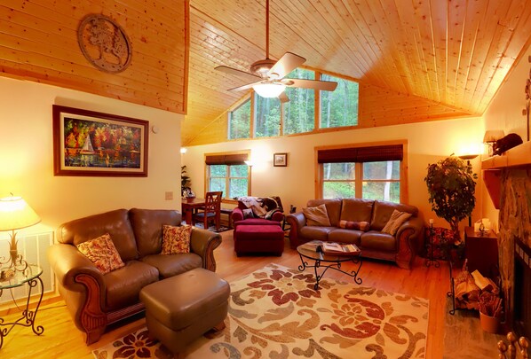 Smart TV, chimenea, reproductor de DVD y libros 