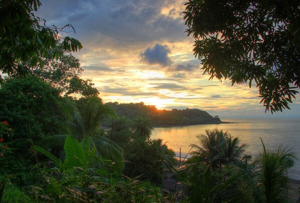 Un paysage tropical caractérisé par une végétation luxuriante et une vue sur la mer au coucher du soleil.