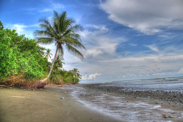 On the beach, snorkeling, kayaking