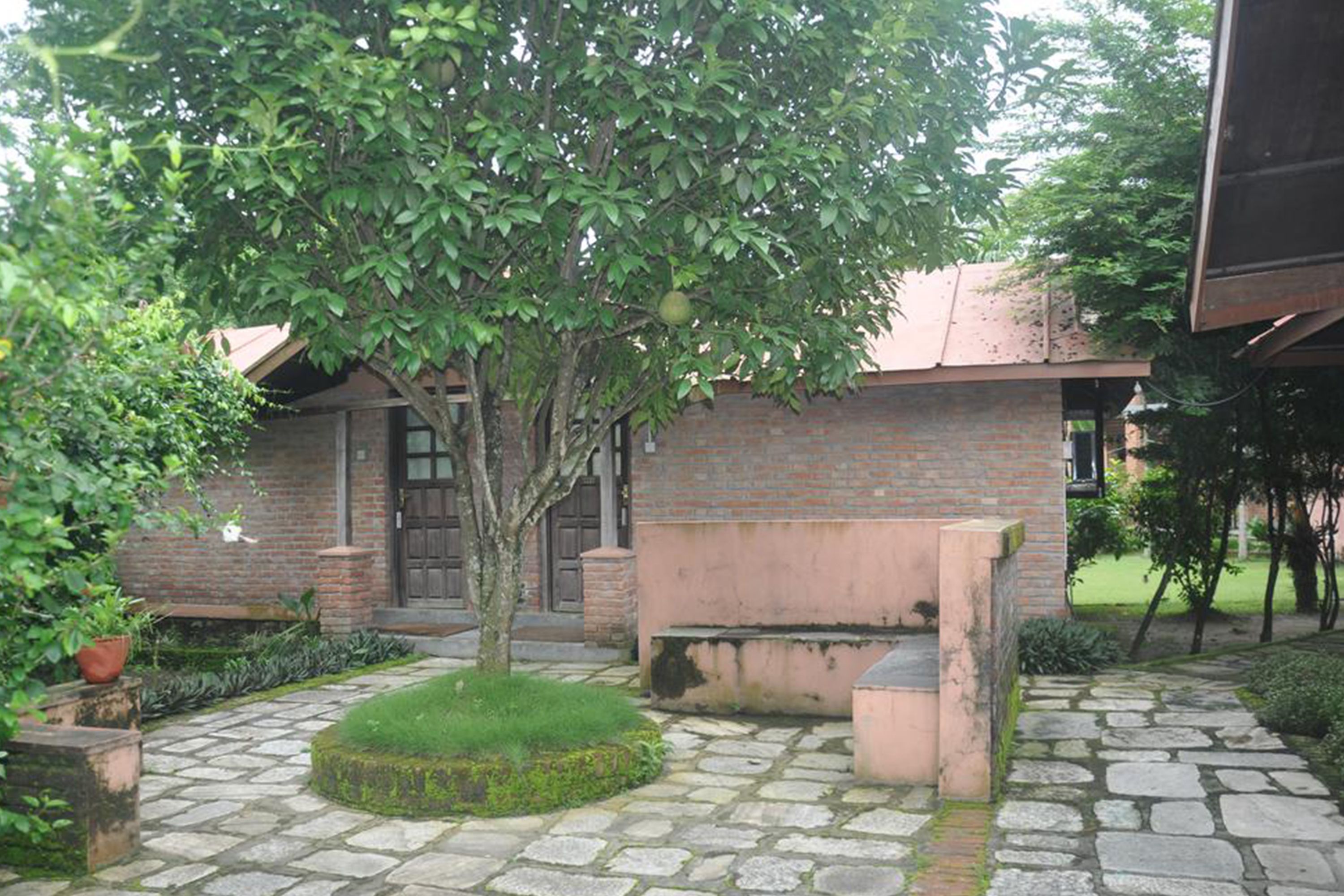 A courtyard with a stone pathway, a bench, and a tree.