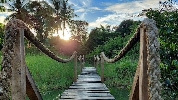 Un pont en bois, doté de garde-corps en corde, entouré d’une végétation luxuriante et de palmiers, qui mène à une étendue d’eau.