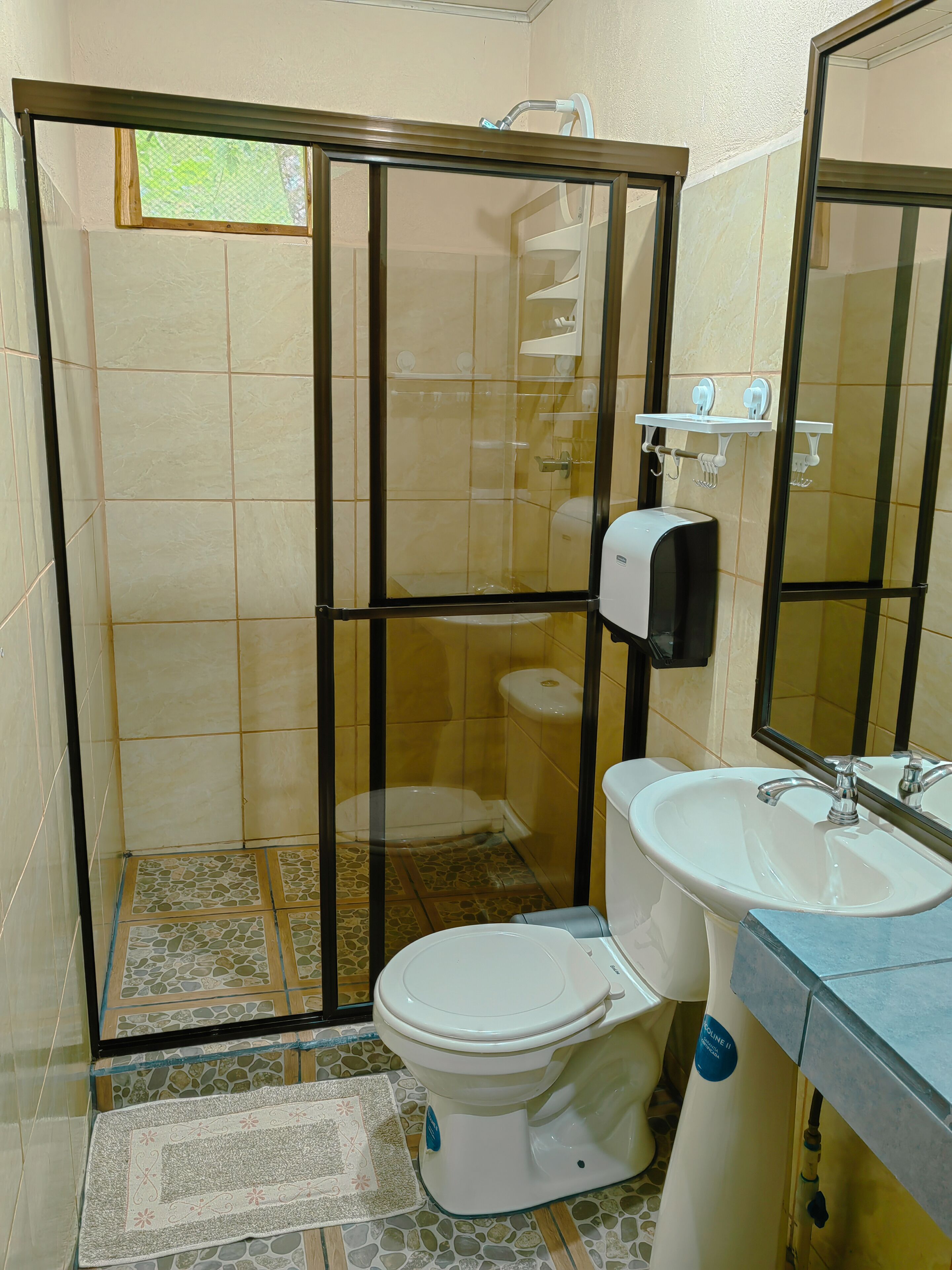 Une salle de bain avec une douche à parois de verre, des toilettes et un lavabo avec un miroir au-dessus.