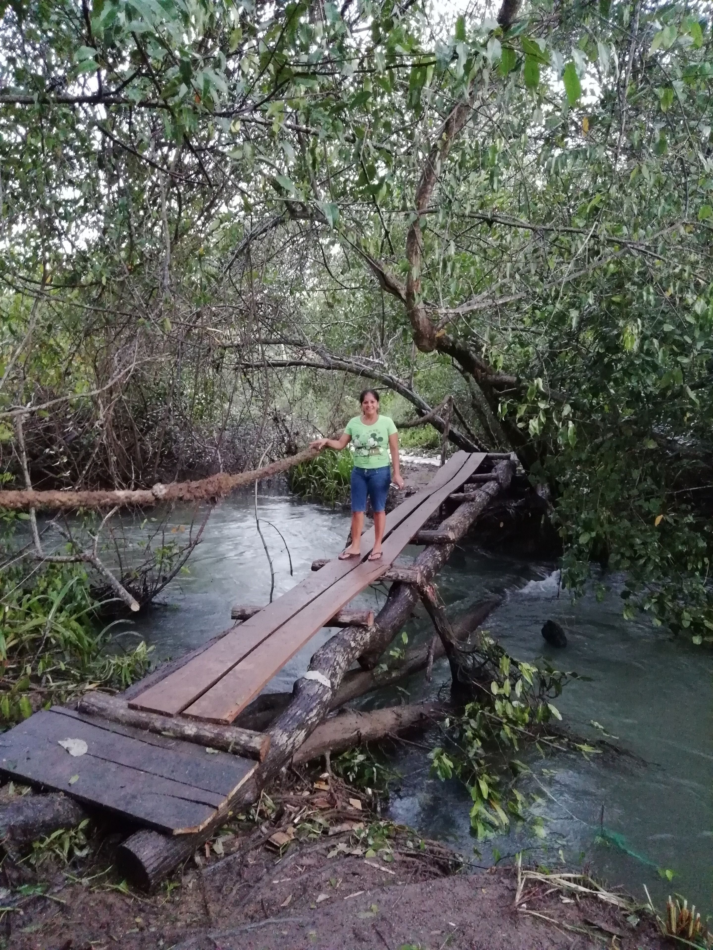 Una persona de pie sobre un puente de madera que cruza un río en un bosque.
