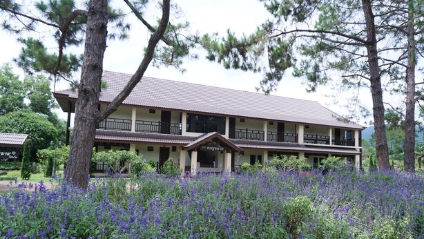 A two-story building with a balcony, surrounded by a field of purple flowers.