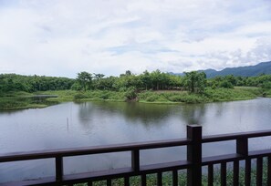 스탠다드룸 | 객실에서 보이는 전망