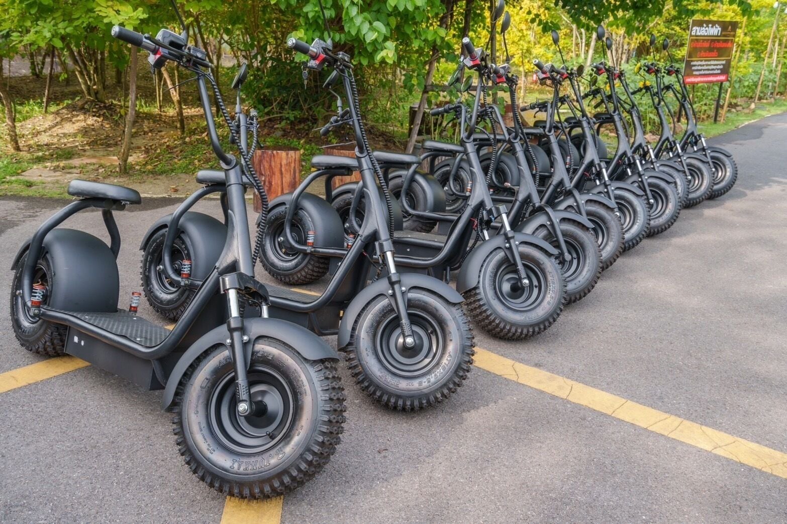 Uma fileira de scooters elétricas estacionadas numa área pavimentada com linhas amarelas, rodeada por vegetação.