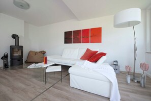 TV, fireplace - Vermeer, Germany (Breege)