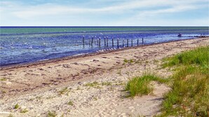 Una playa con gaviotas, una orilla arenosa y un cielo azul despejado.