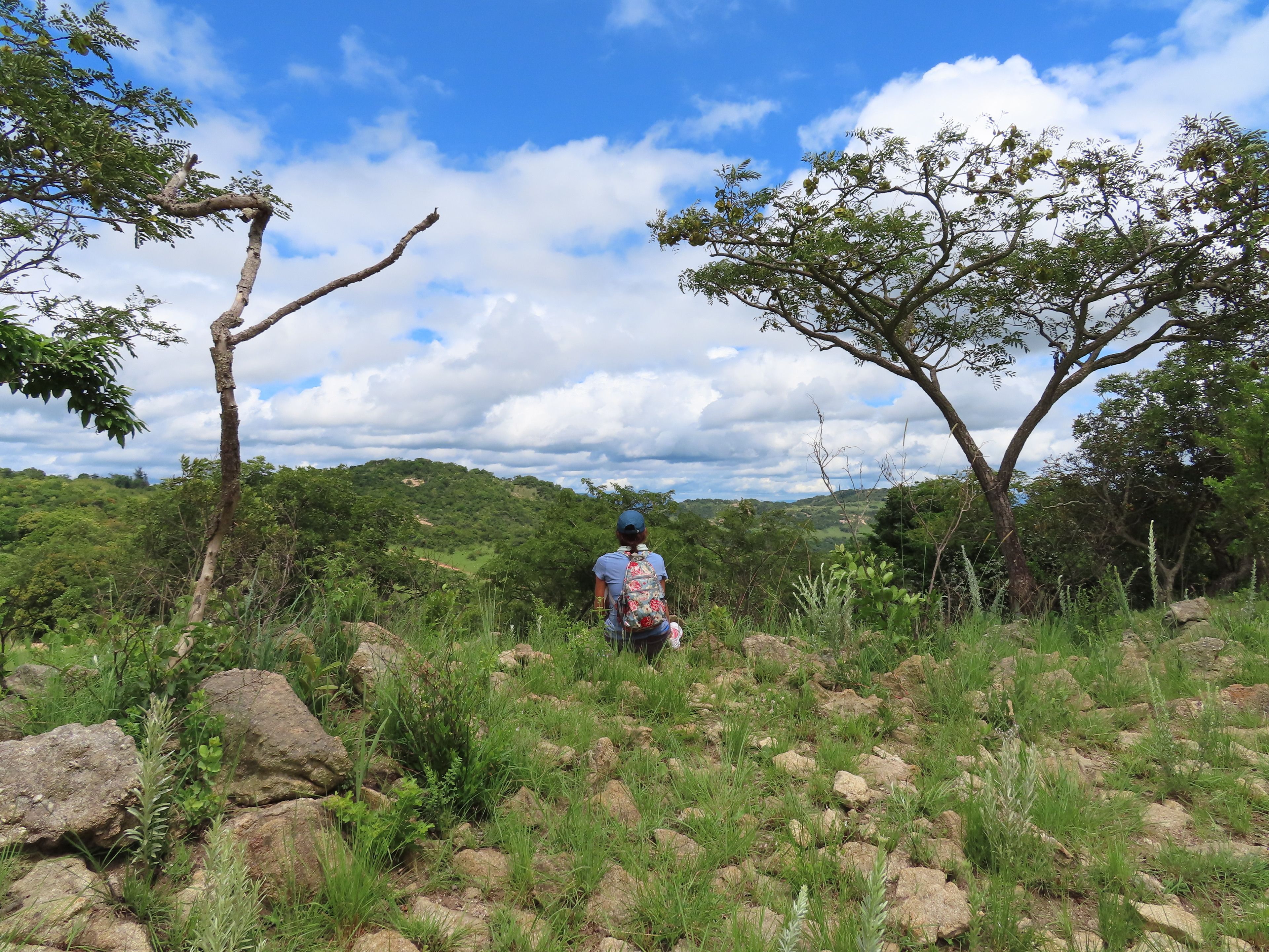 Una persona caminando por un sendero rocoso rodeado de vegetación y árboles.