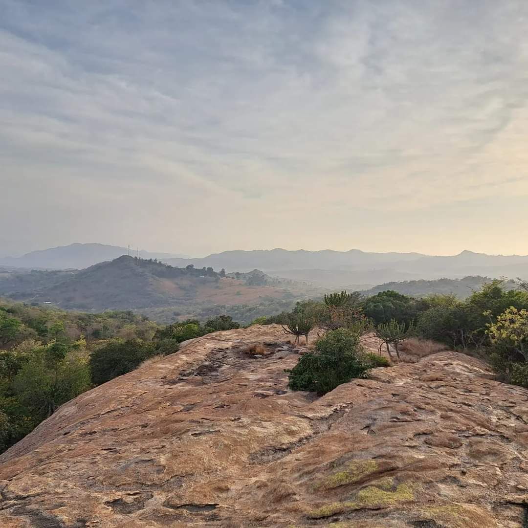 A rocky landscape with sparse vegetation and distant mountains under a cloudy sky.
