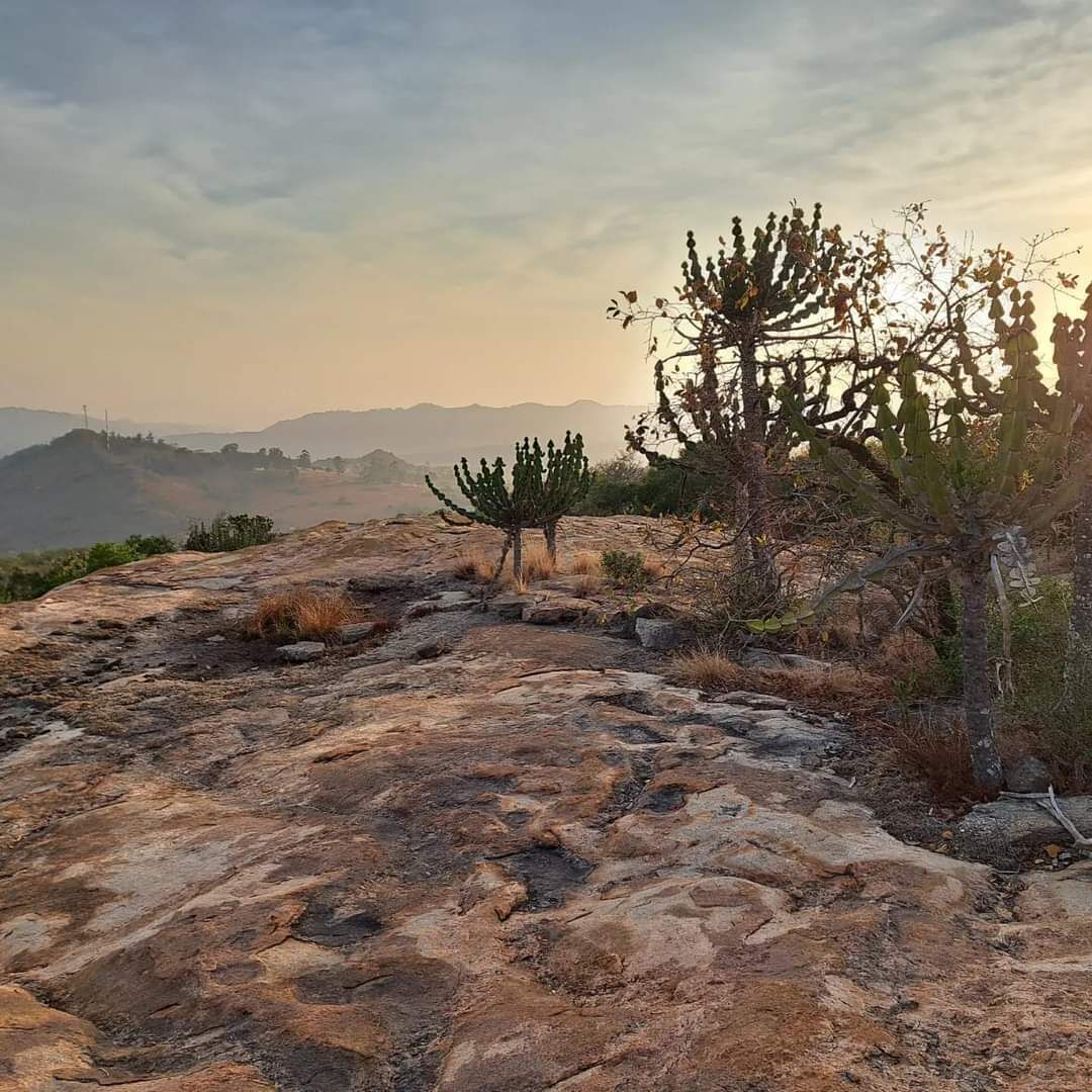 A rocky landscape with sparse vegetation and a clear sky.