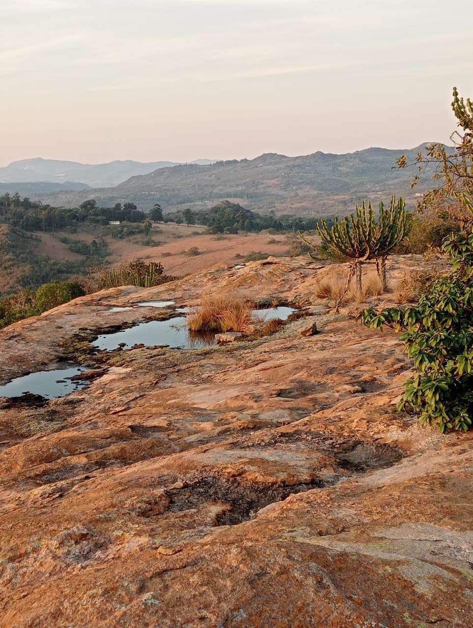 A rocky terrain with sparse vegetation and a distant view of hills.