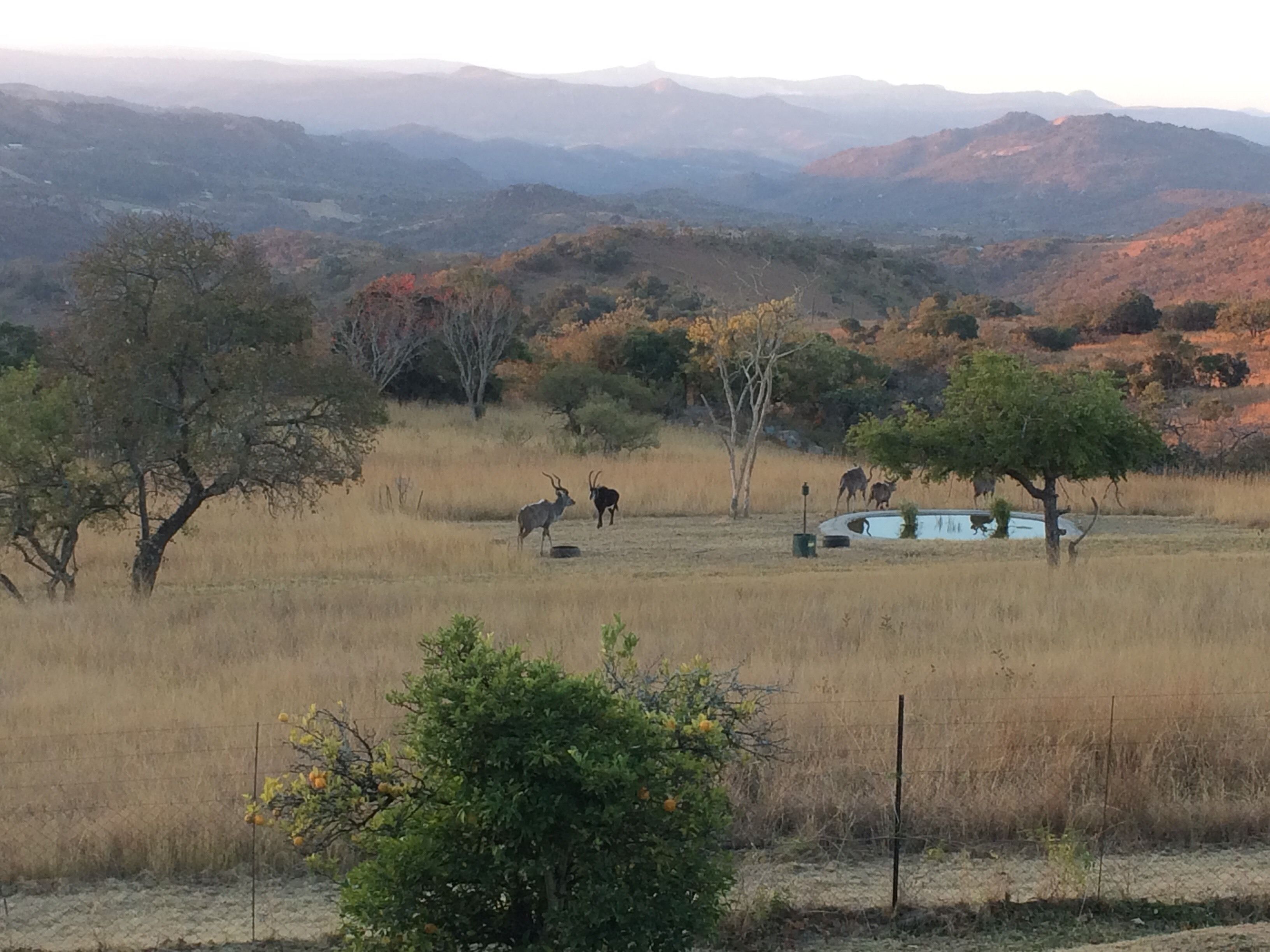Paisaje rural con una masa de agua, árboles y montañas a lo lejos.